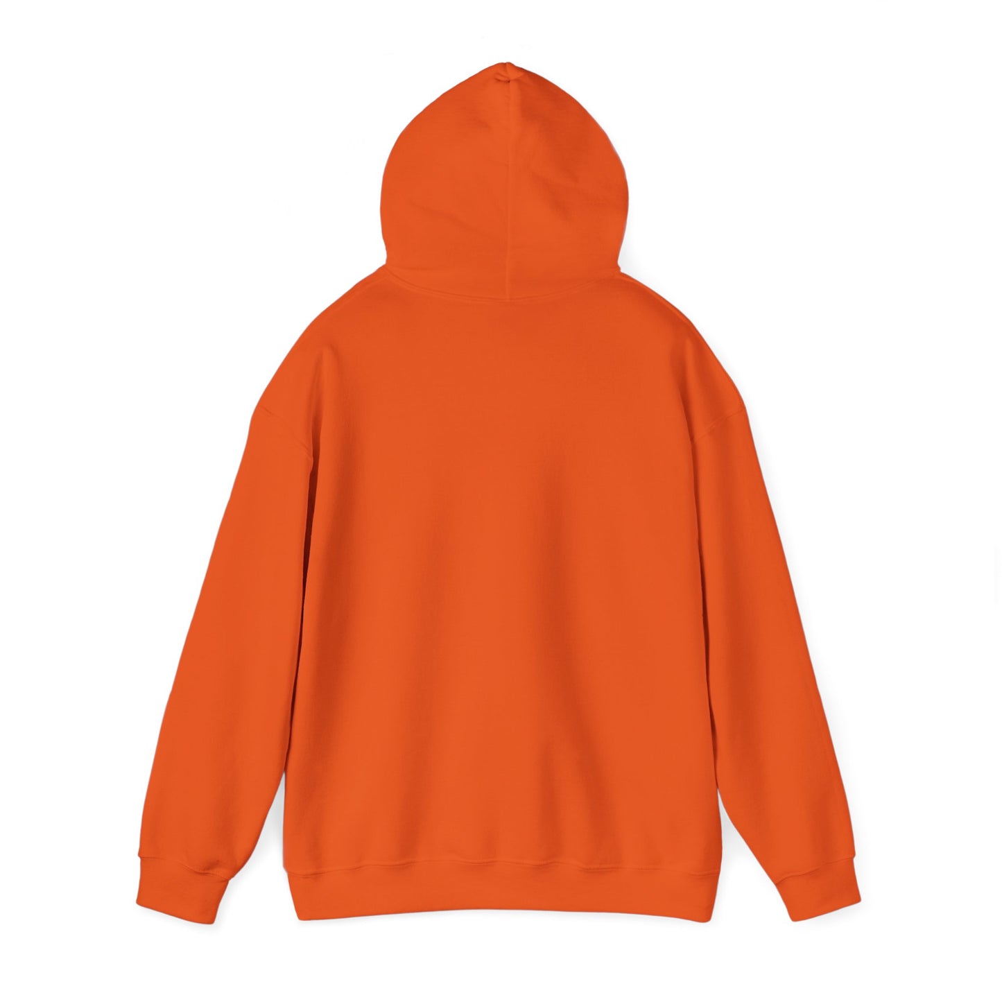 Unisex Heavy Blend™ Hooded Sweatshirt - Aspen