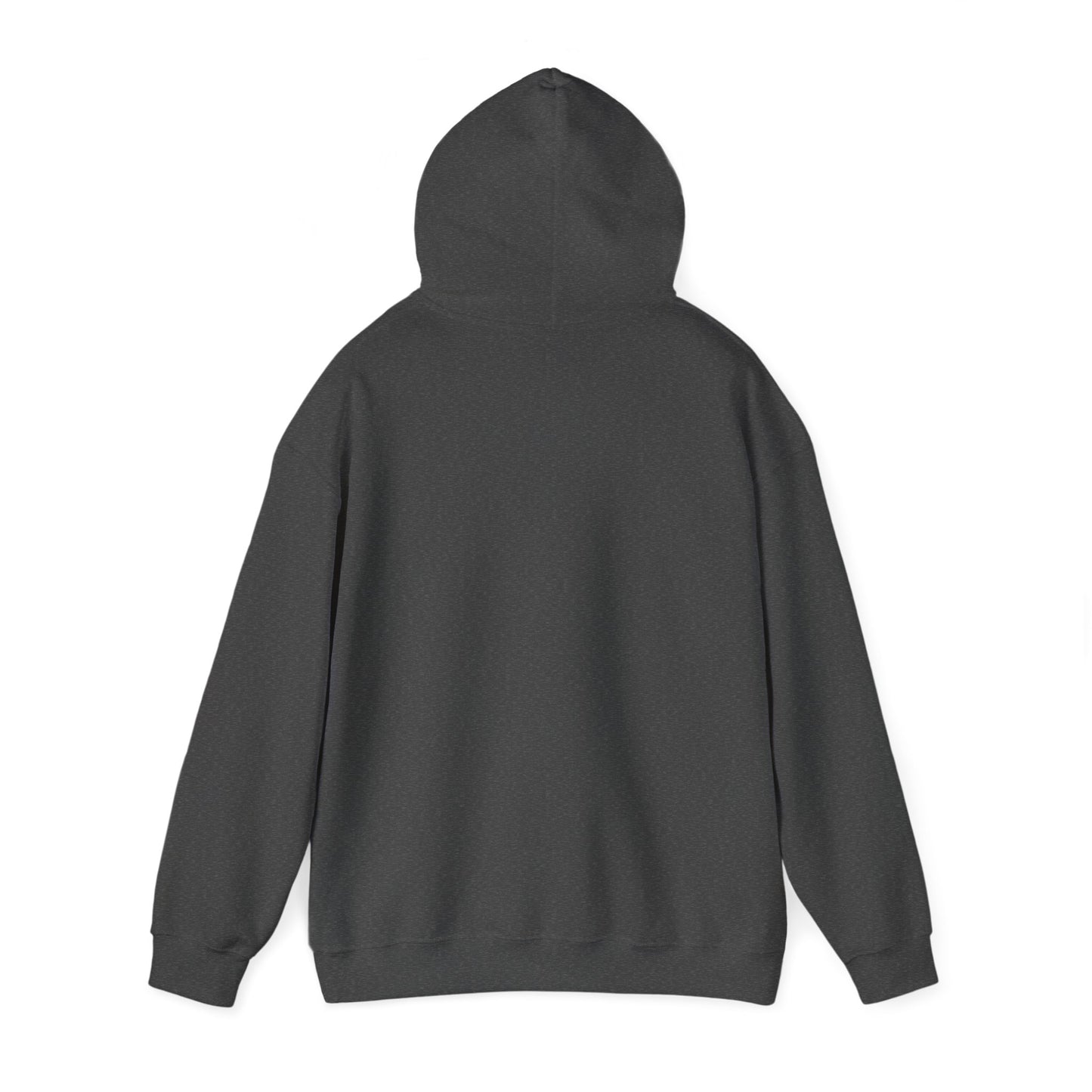 Unisex Heavy Blend™ Hooded Sweatshirt - Water