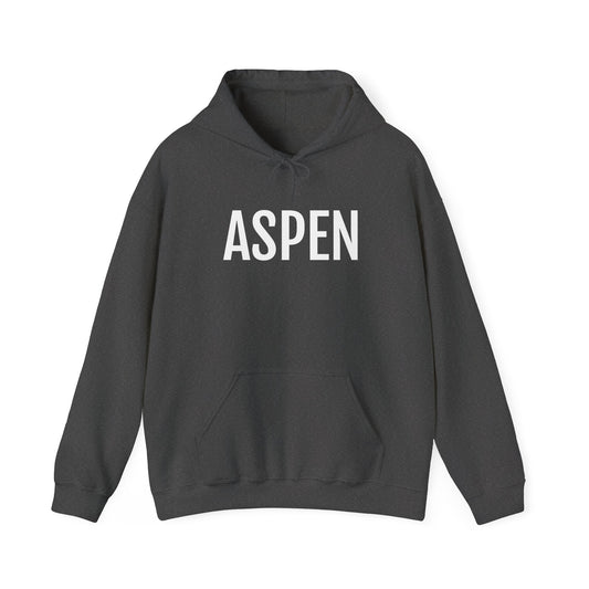 Unisex Heavy Blend™ Hooded Sweatshirt - Aspen